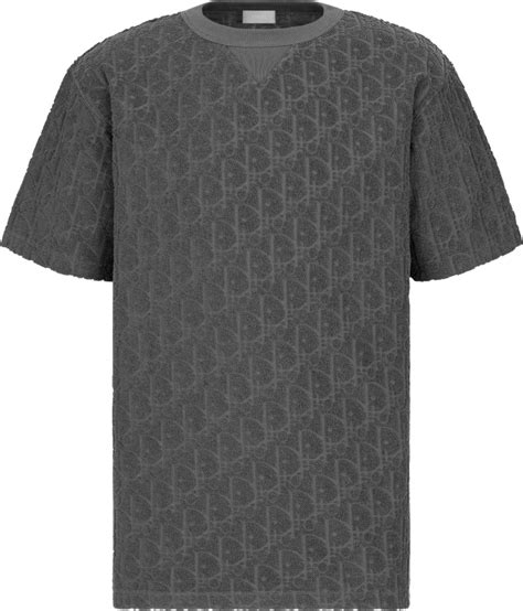 dior oblique t shirt grey|Oversized Dior Oblique T.